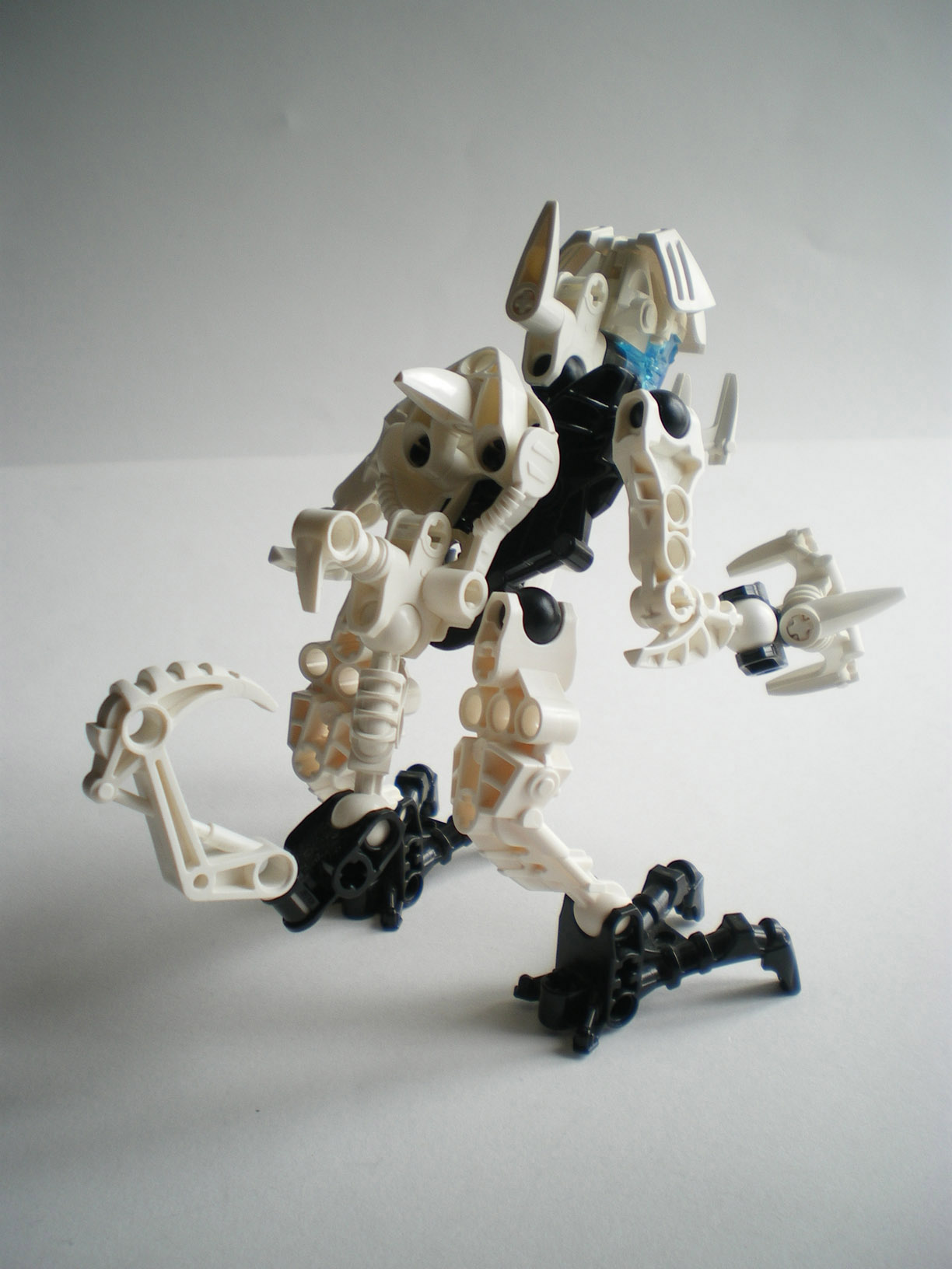 imgp1298.jpg