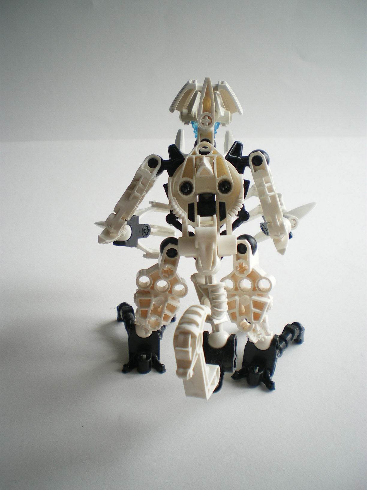 imgp1299.jpg