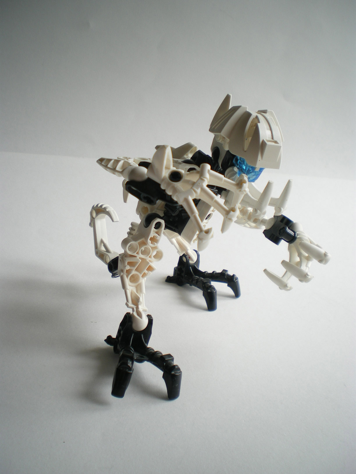 imgp1303.jpg