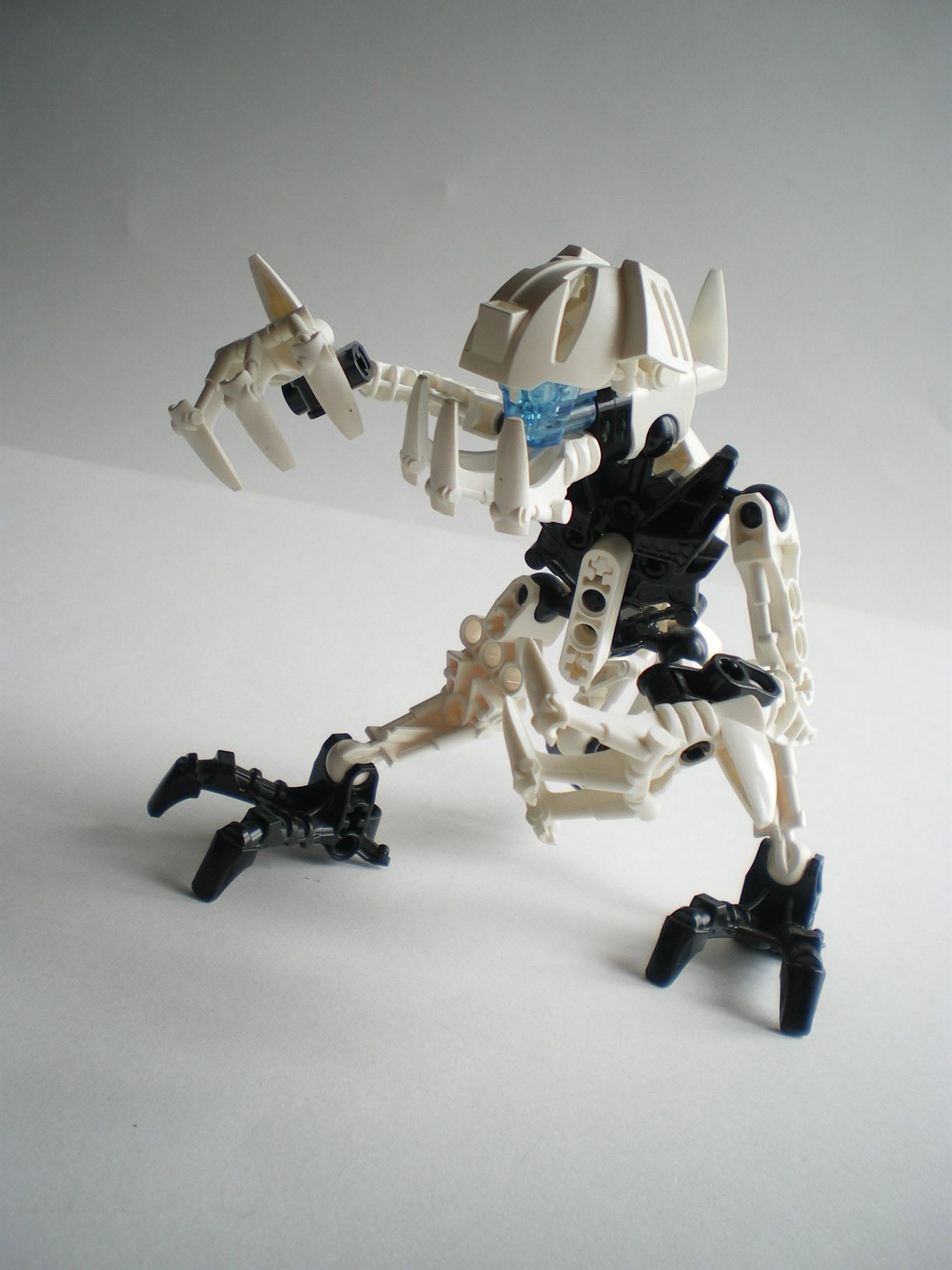 imgp1304.jpg