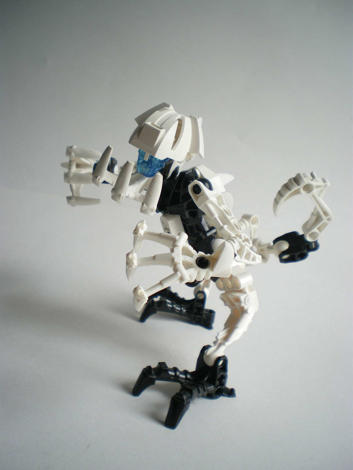 imgp1307.jpg