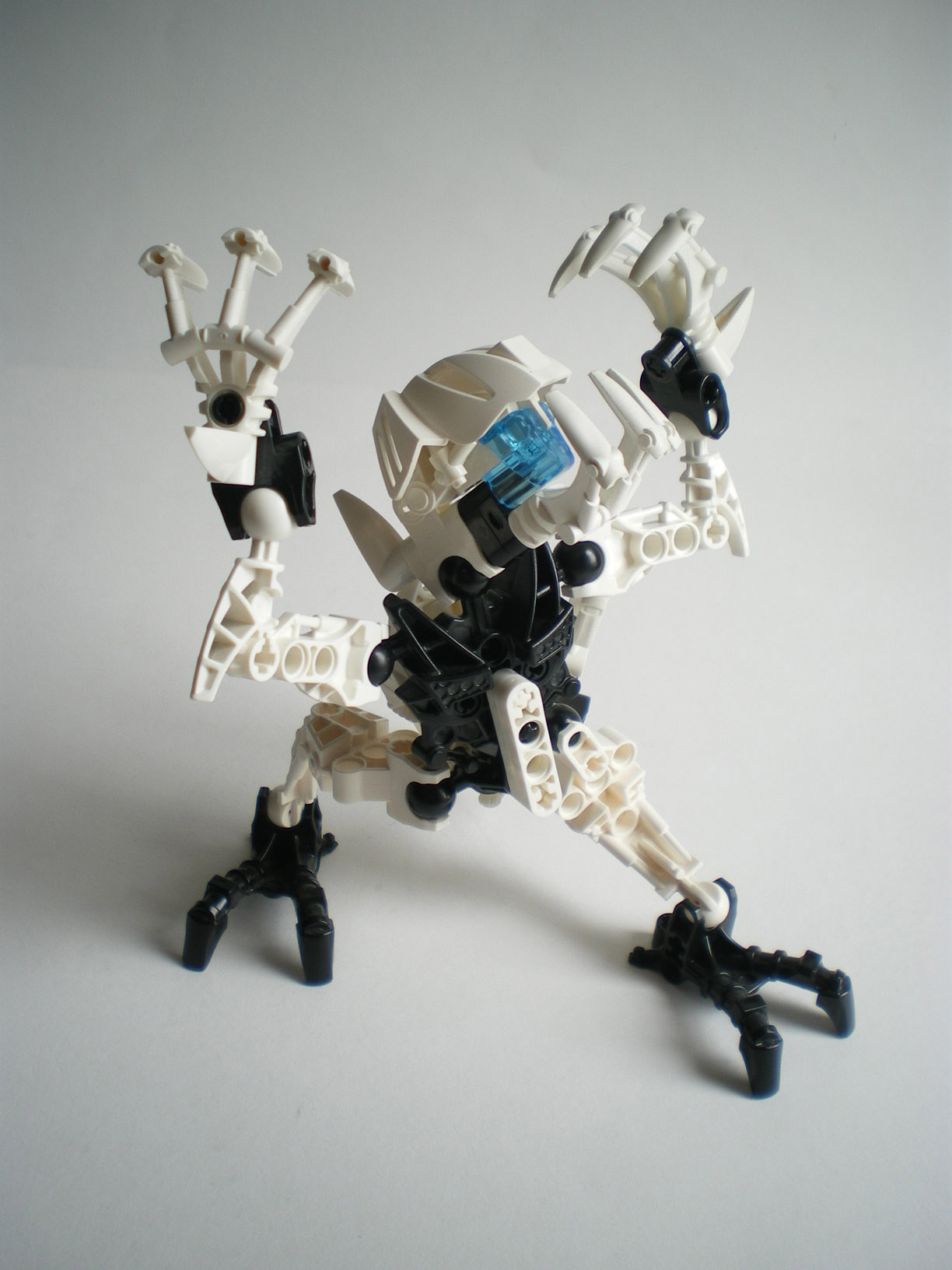 imgp1310.jpg