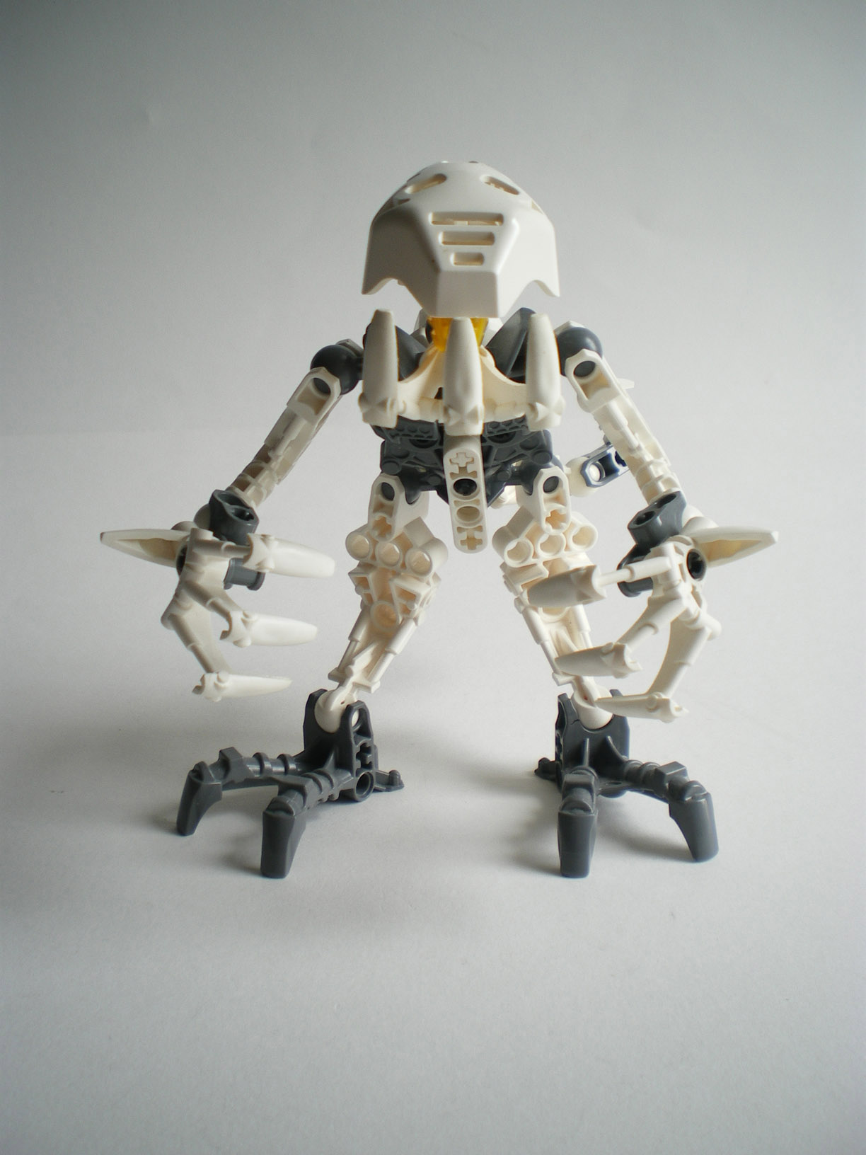 imgp1313.jpg