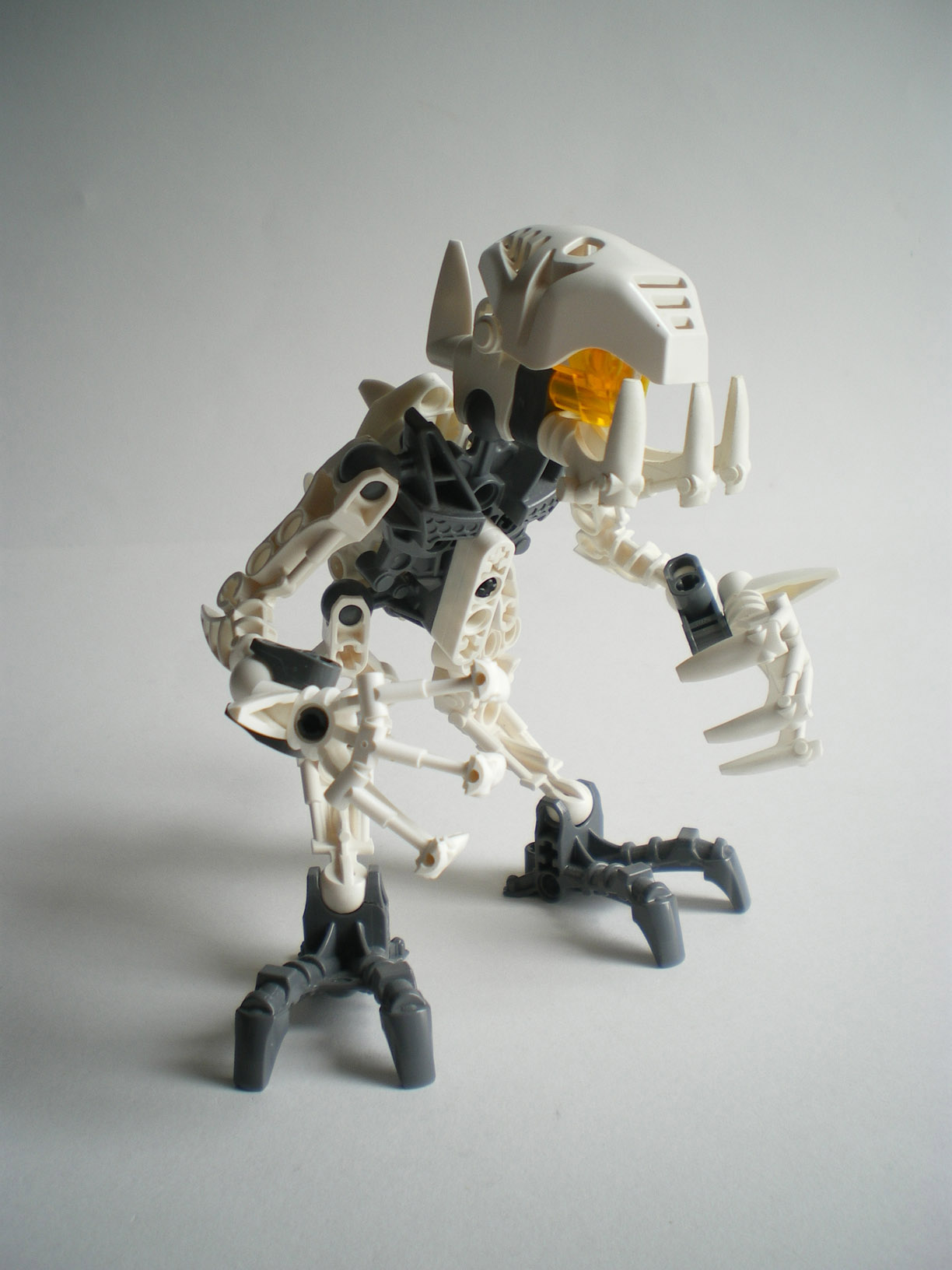 imgp1314.jpg