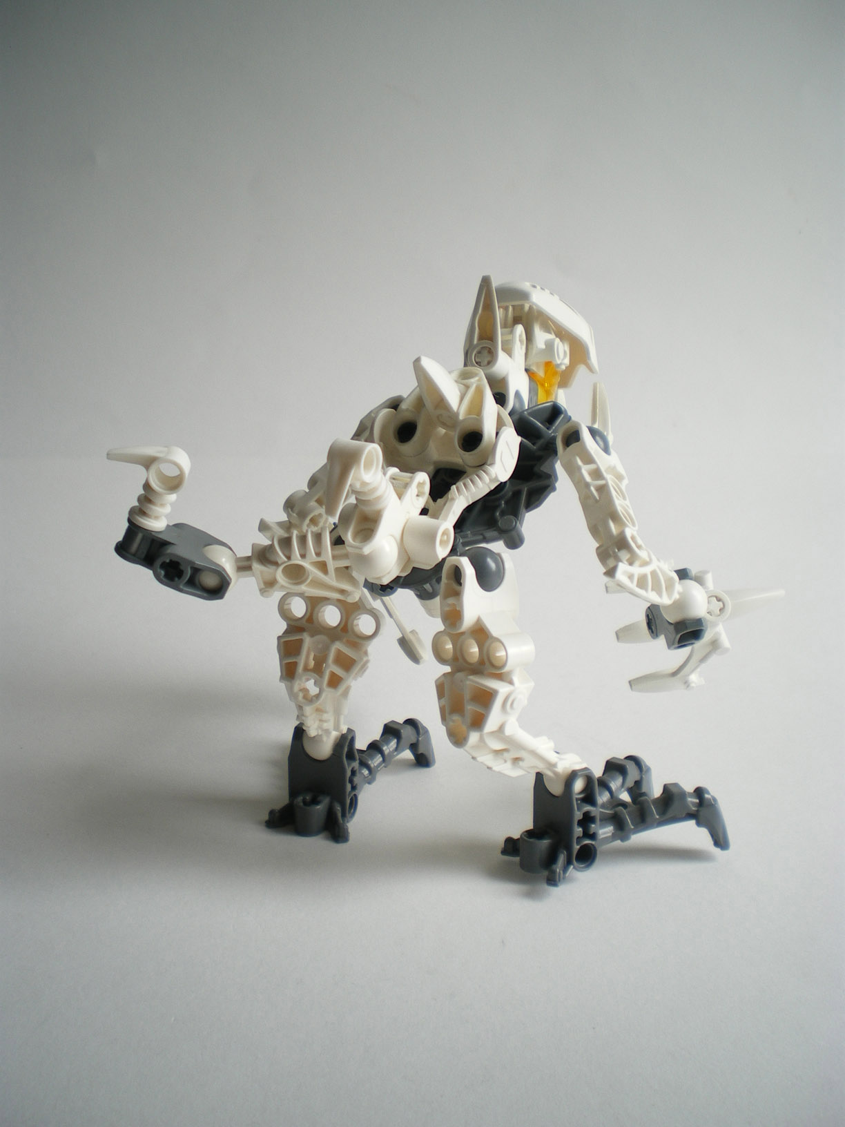 imgp1316.jpg