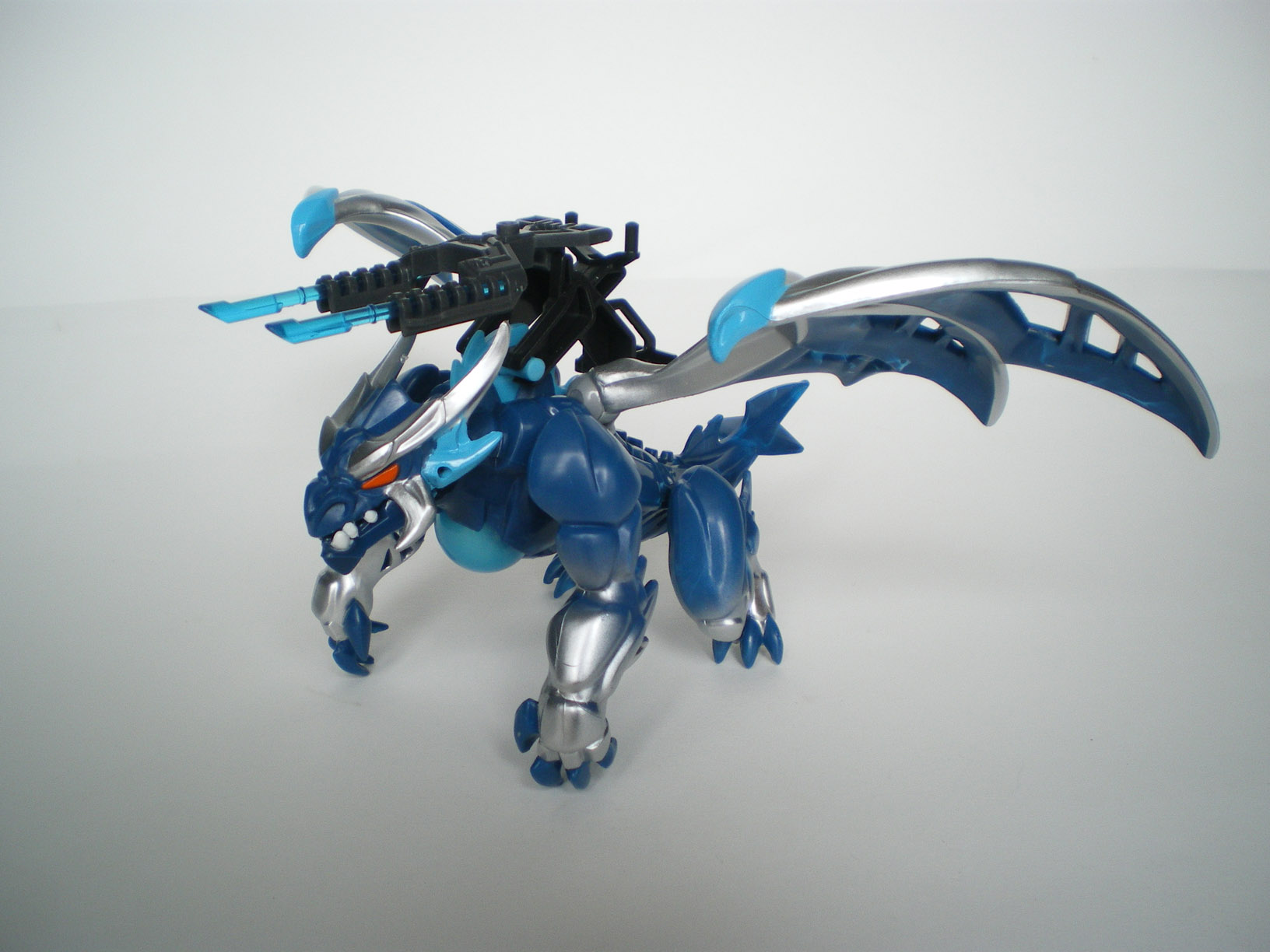 imgp5431.jpg