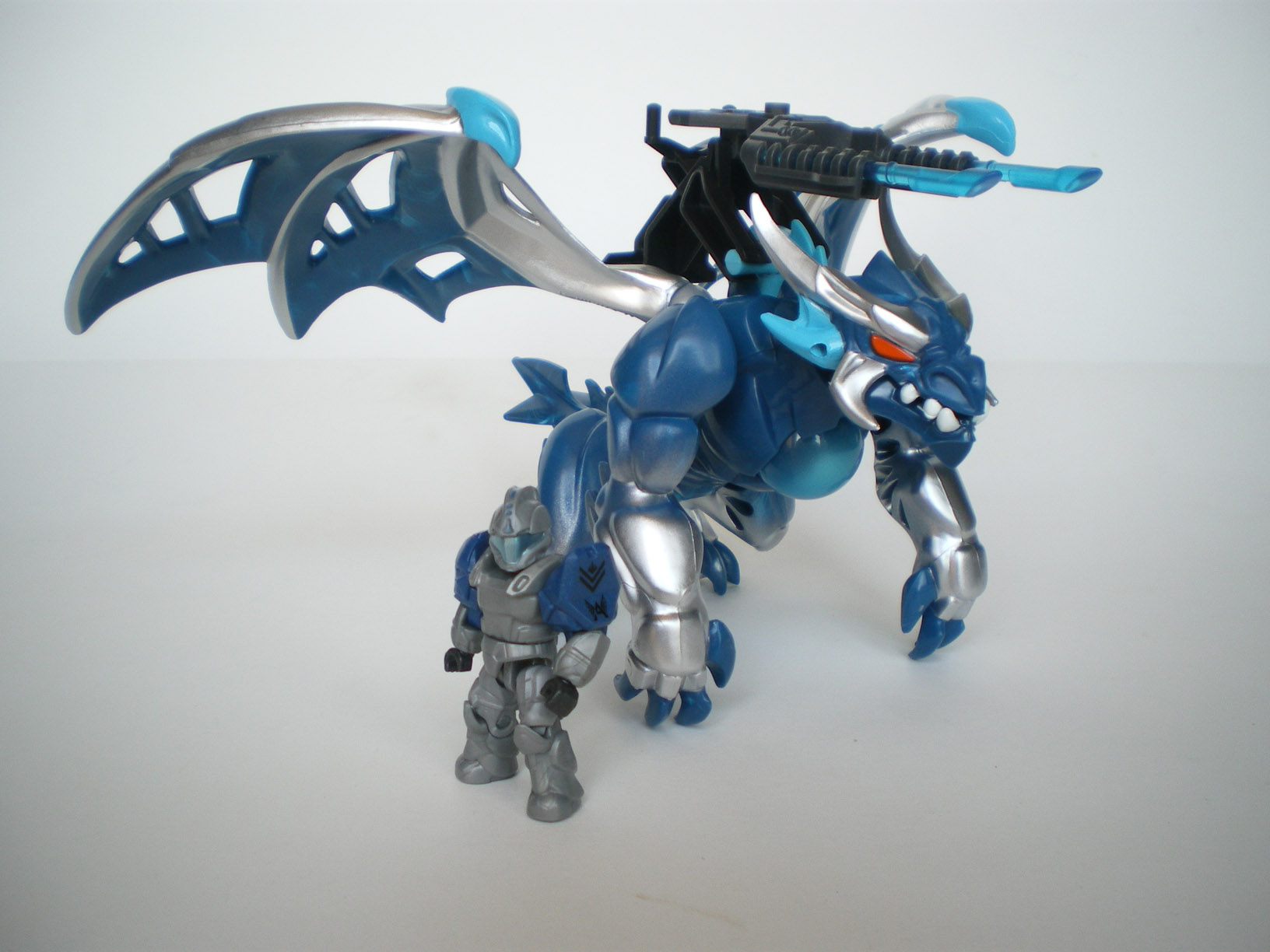 imgp5600.jpg