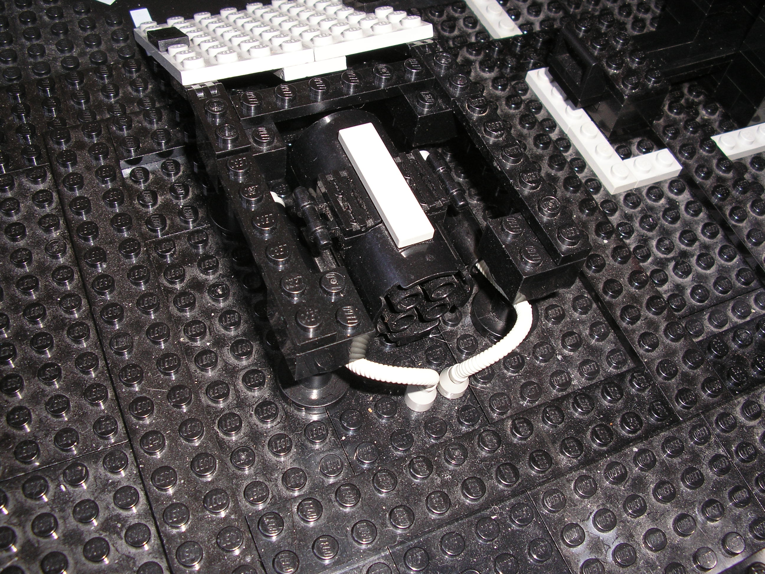 p1011219.jpg