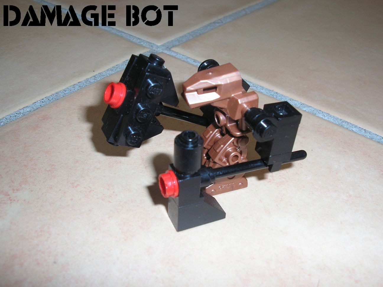 012_bot_custom_006.png
