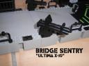 003_weapon_bridge_sentry.png