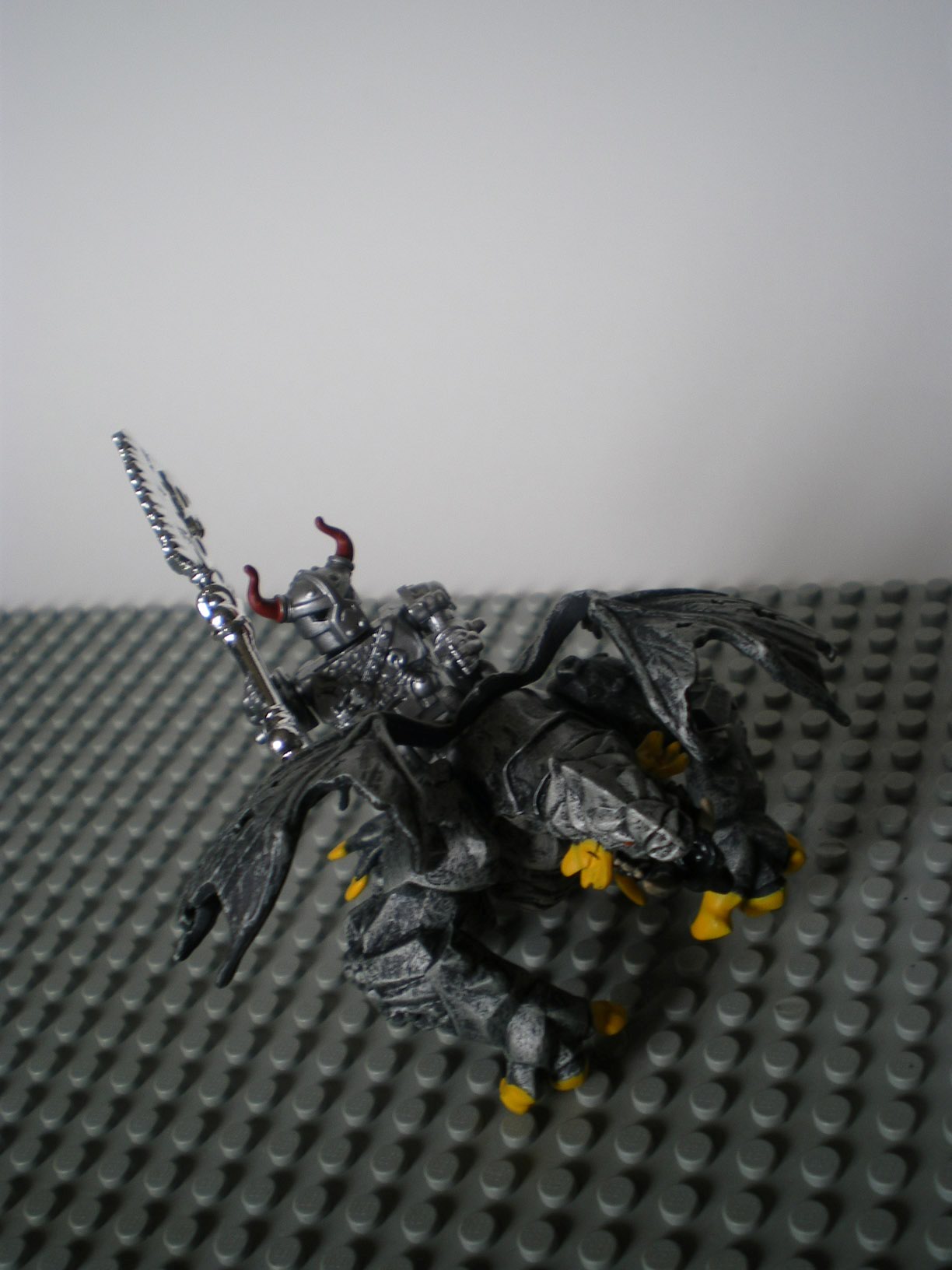 imgp4919.jpg