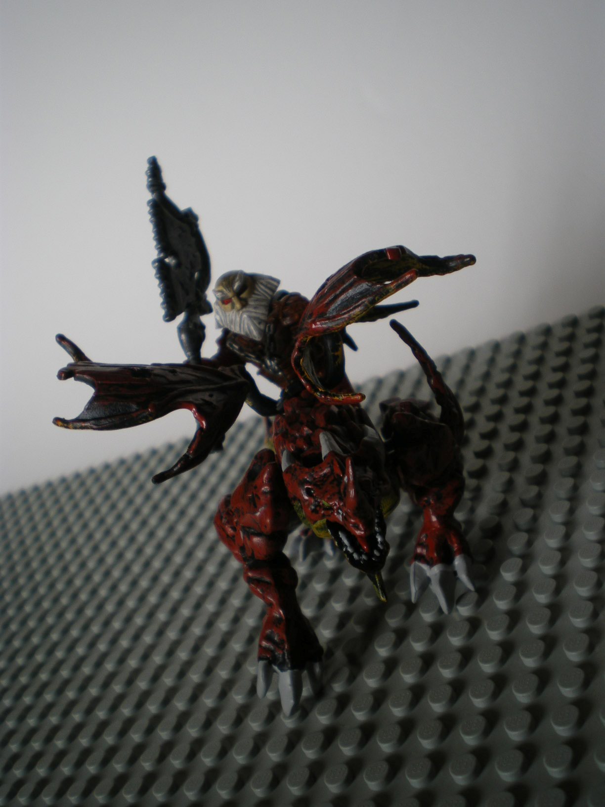 imgp4951.jpg