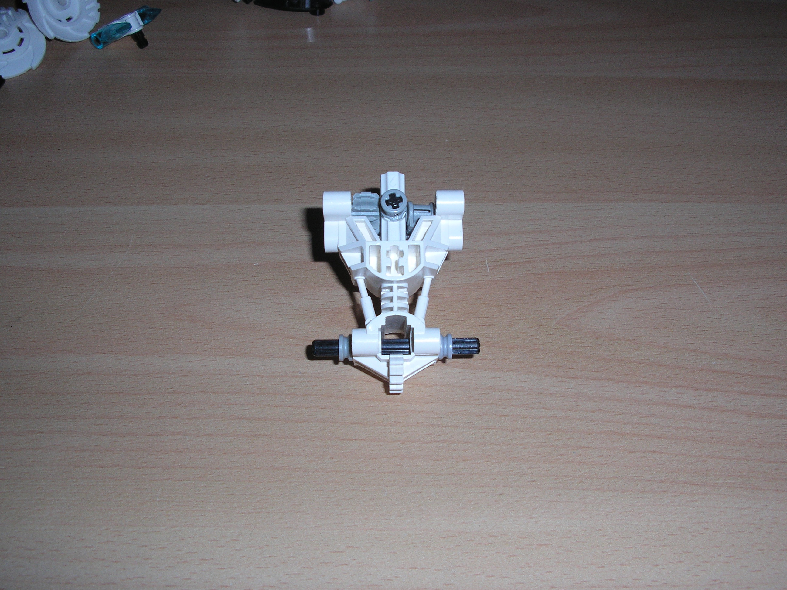 p1011531.jpg
