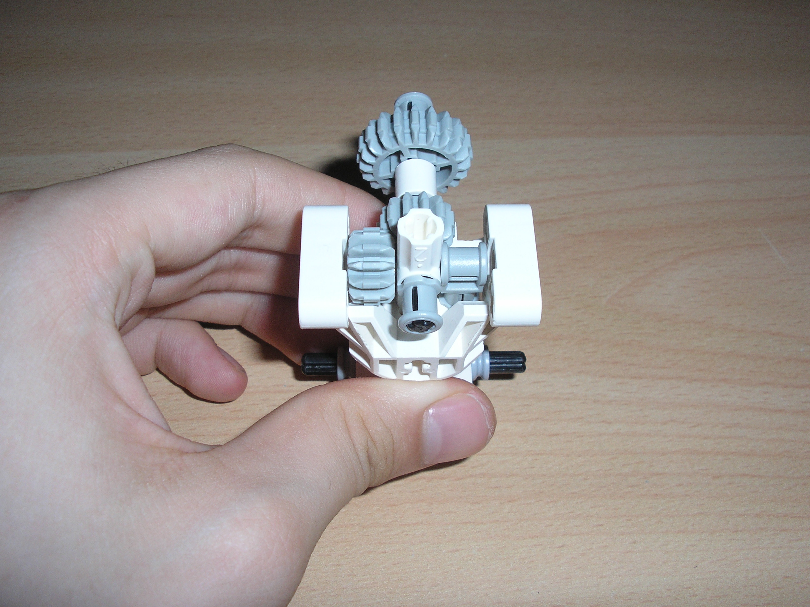 p1011532.jpg