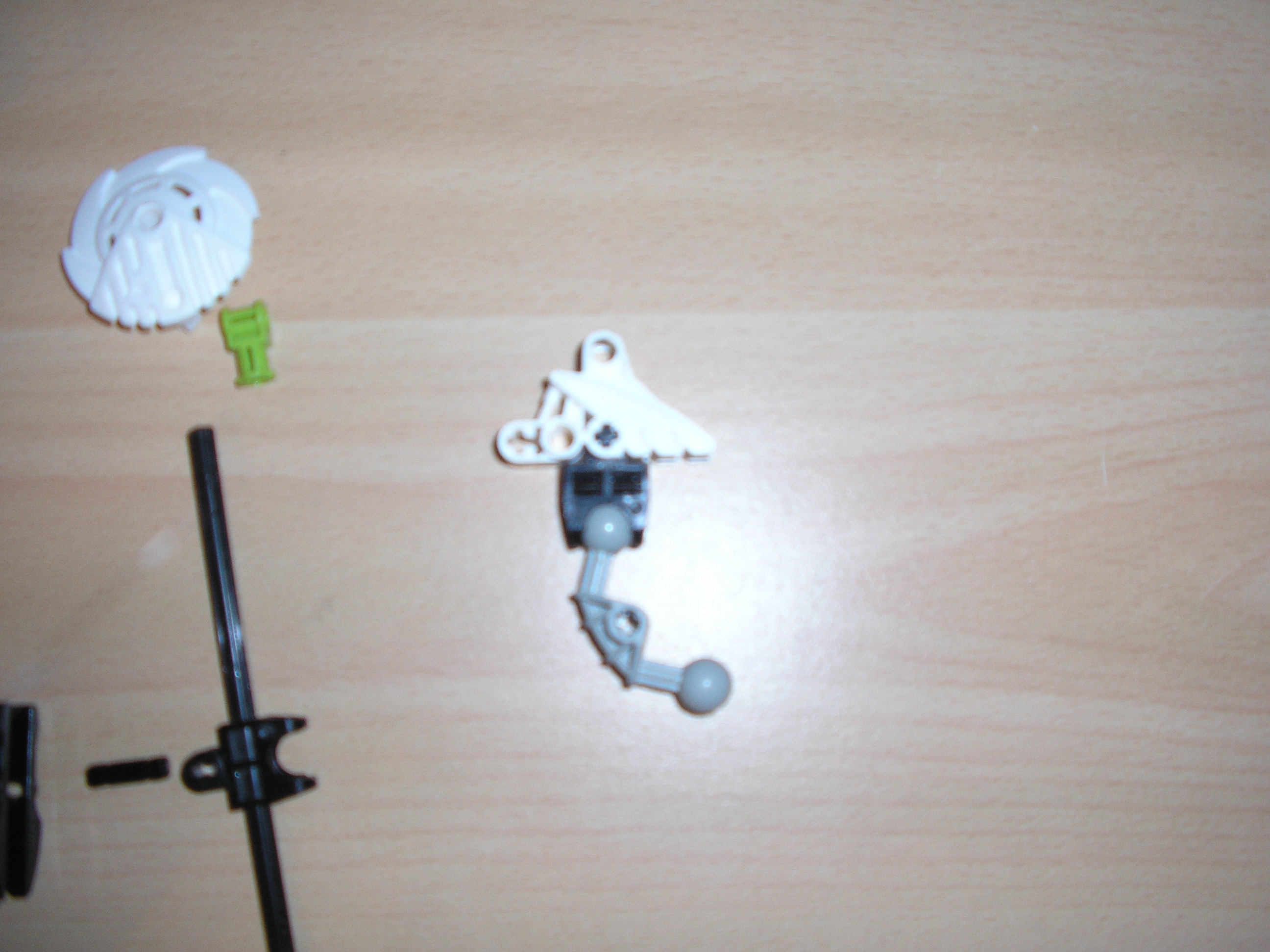 p1011540.jpg