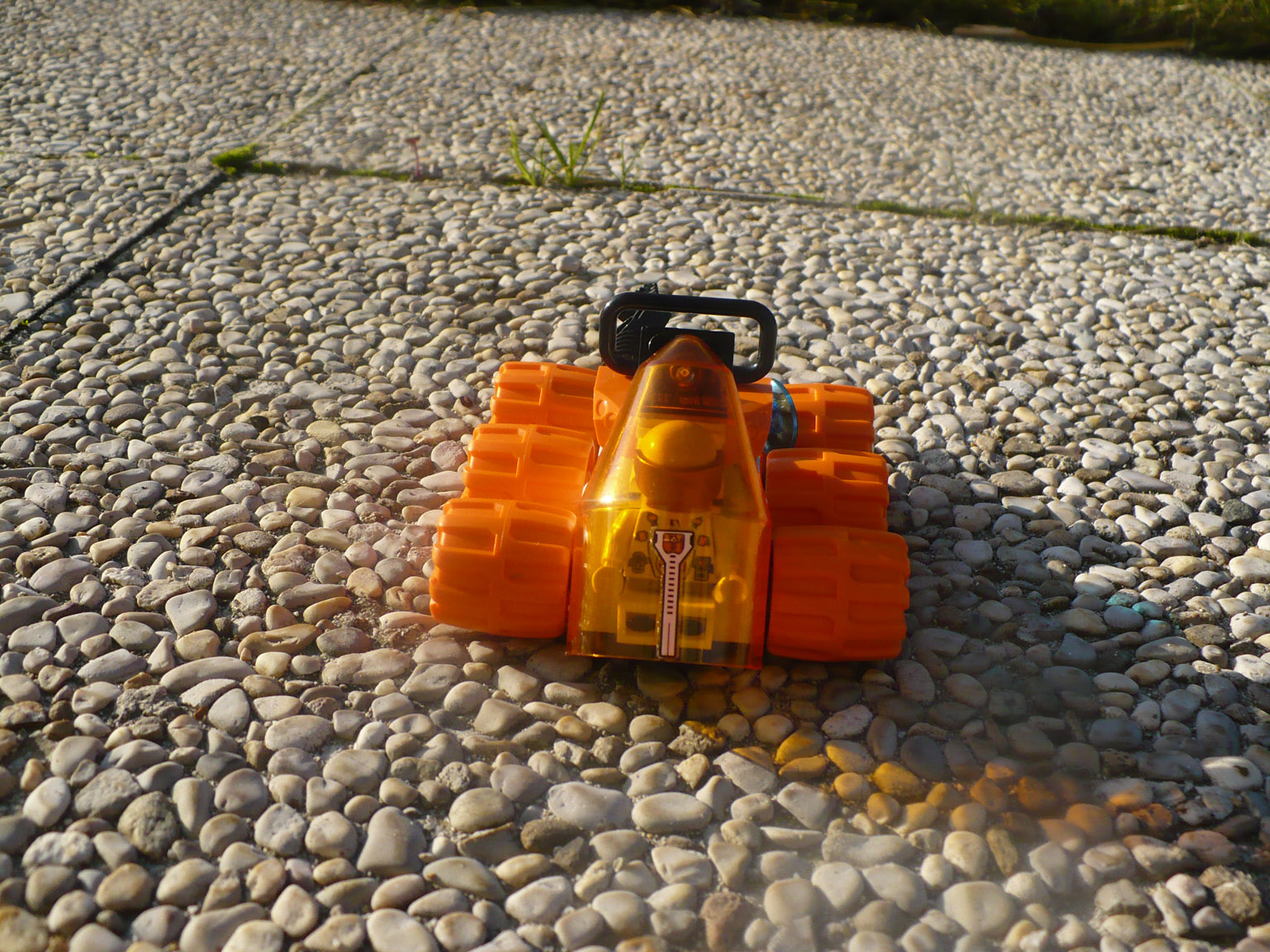 p1000964.jpg