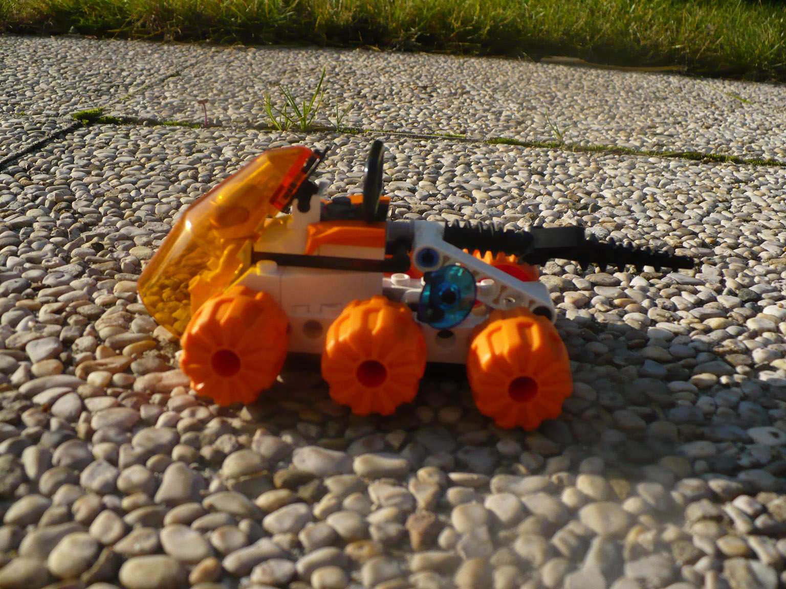 p1000969.jpg