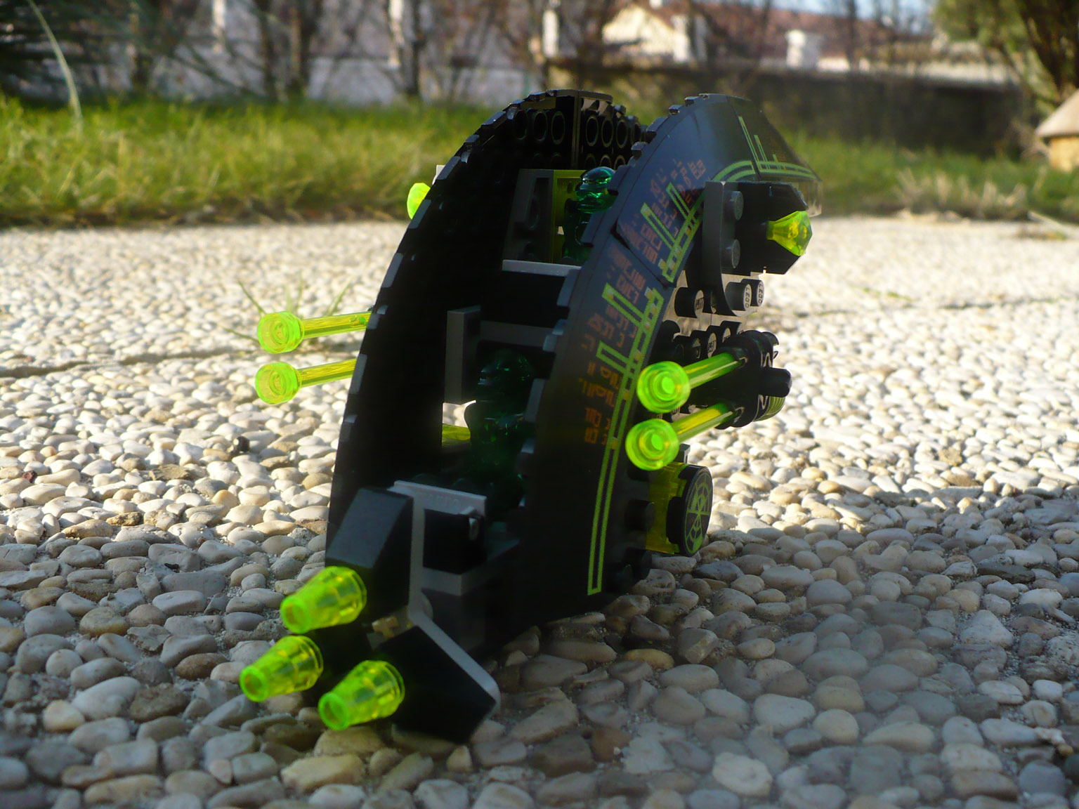p1010002.jpg