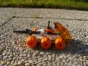 p1000966.jpg
