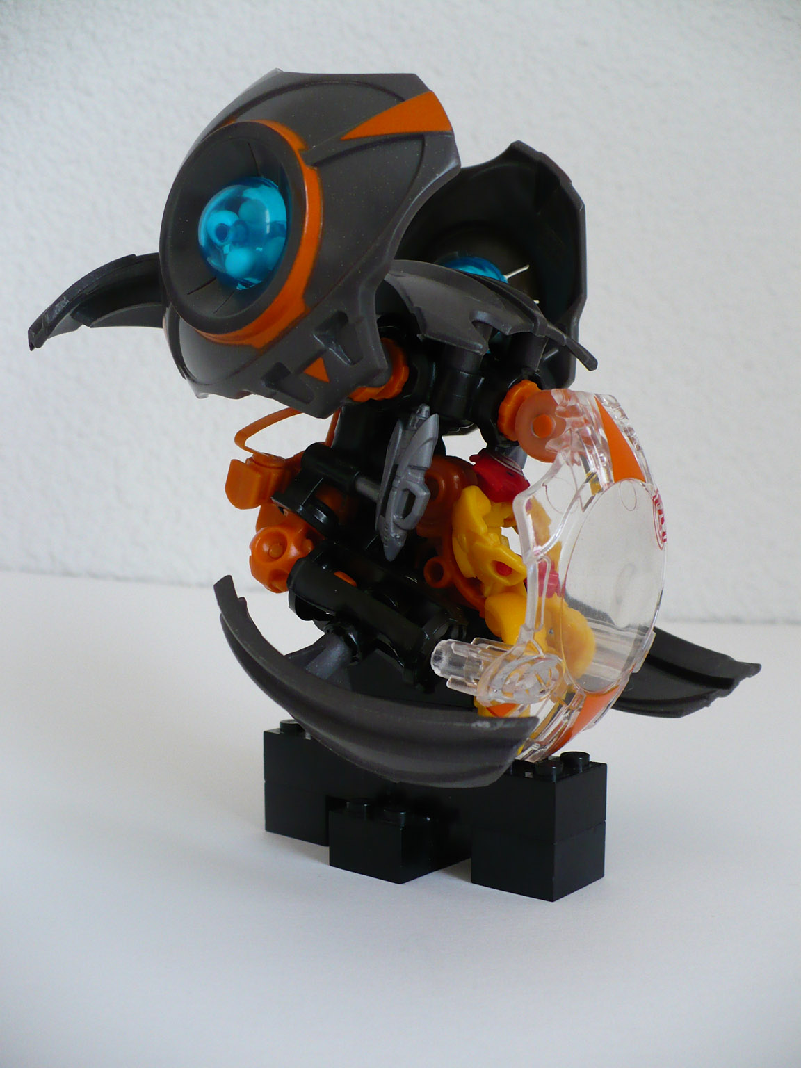 p1020184.jpg
