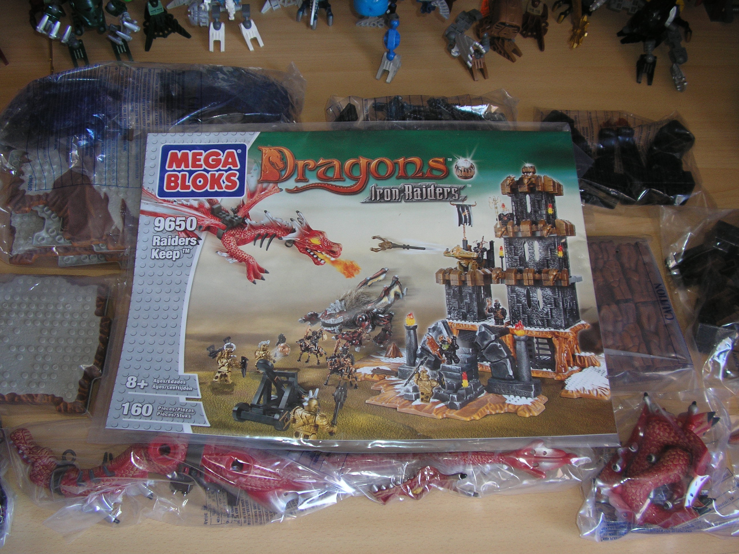 p1011495.jpg