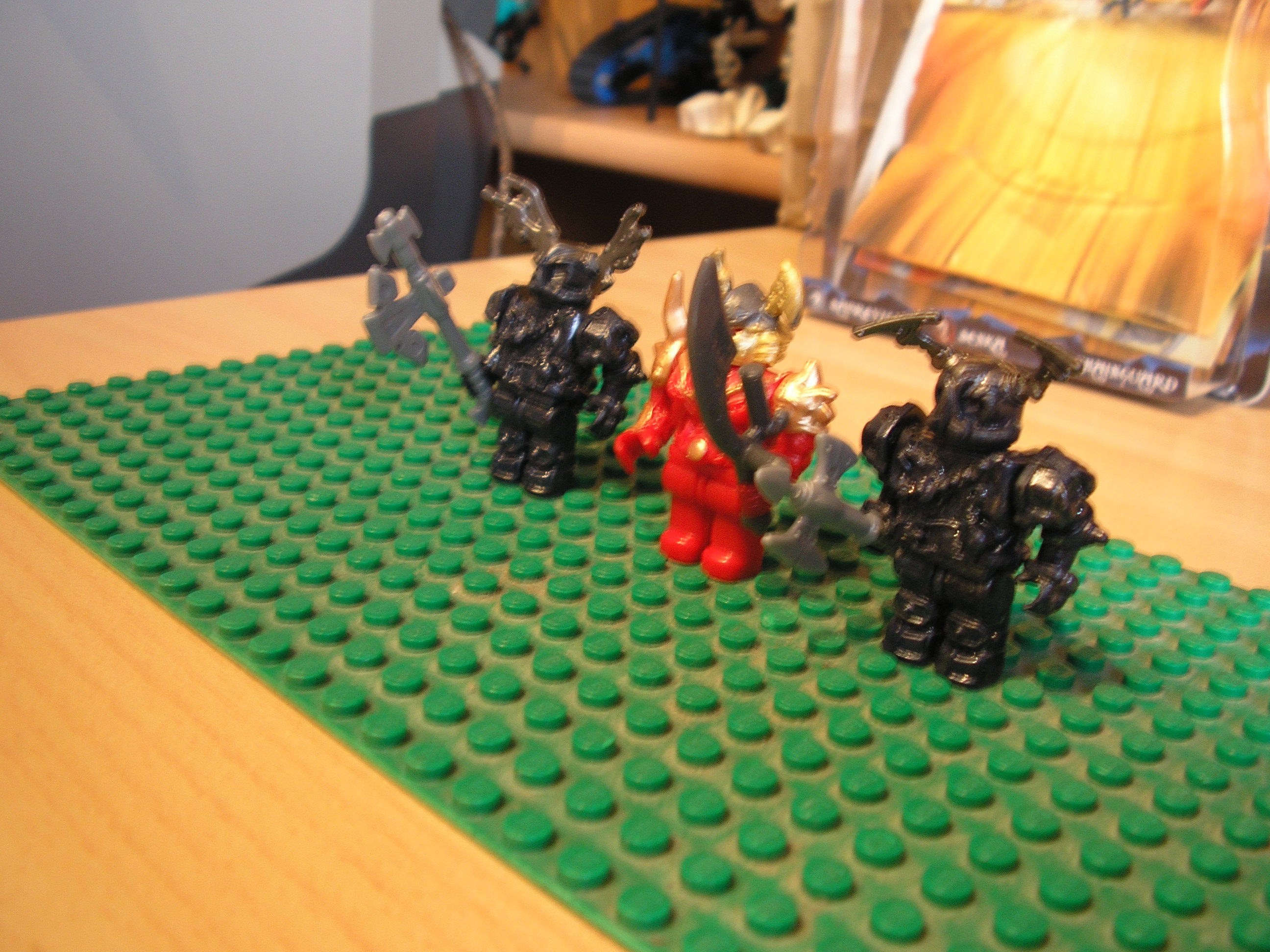 008_9687.jpg
