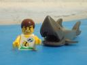 sharks2.jpg