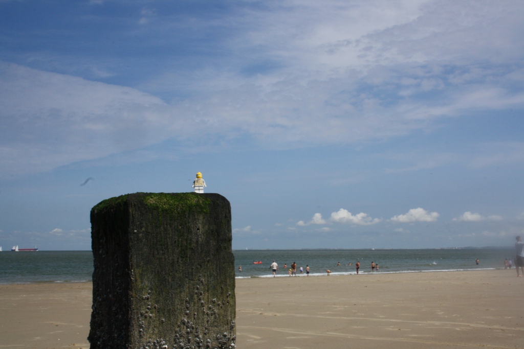 img_4637.jpg
