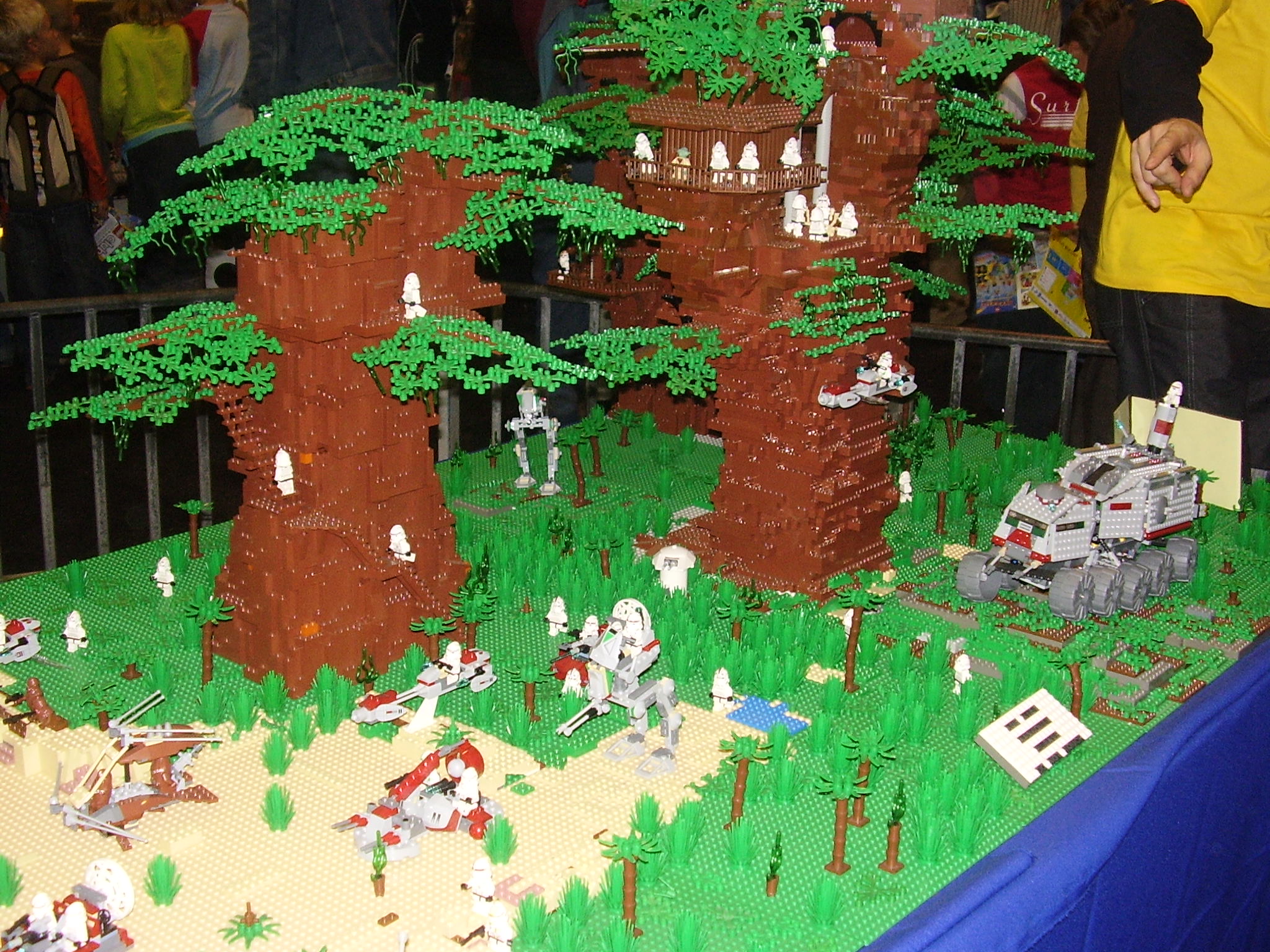 pa240008.jpg