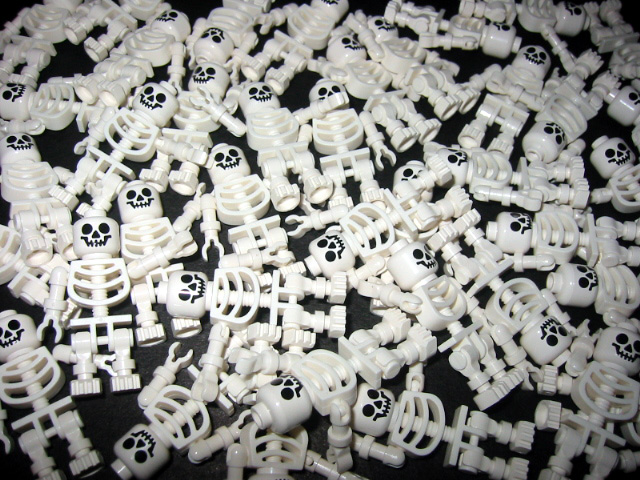 01.skeleton.jpg