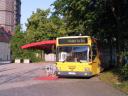 75swa-009.jpg