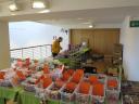 grugliascofest15-04.jpg