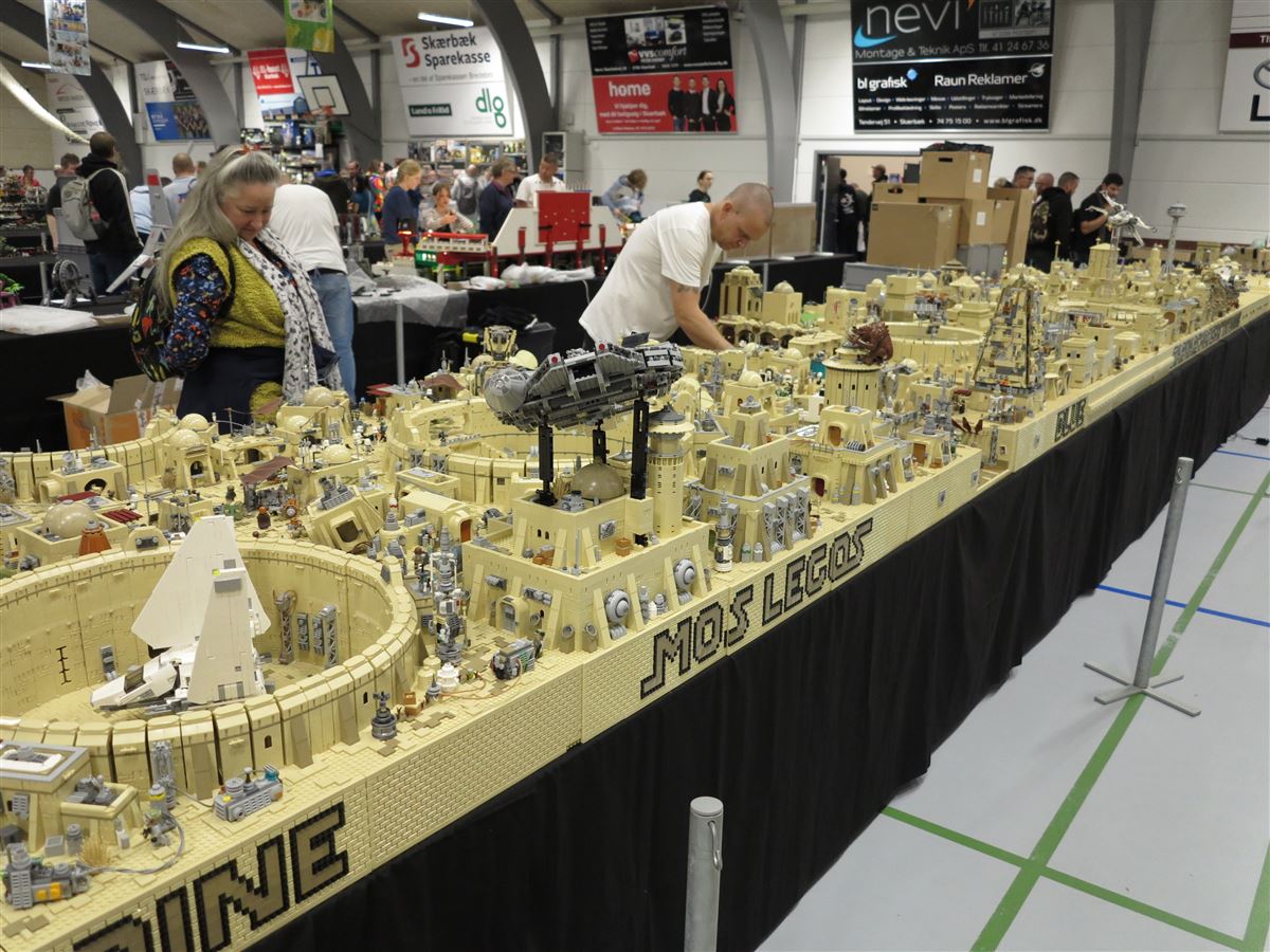 sfw2024-110.jpg