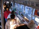 trolleyfestival08-16.jpg