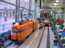 ttf2014-10.jpg