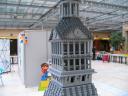 moleantonelliana07.jpg