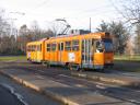 torino2864-10.jpg