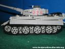 tiger004.jpg