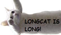 longcatislongbannerz.jpg