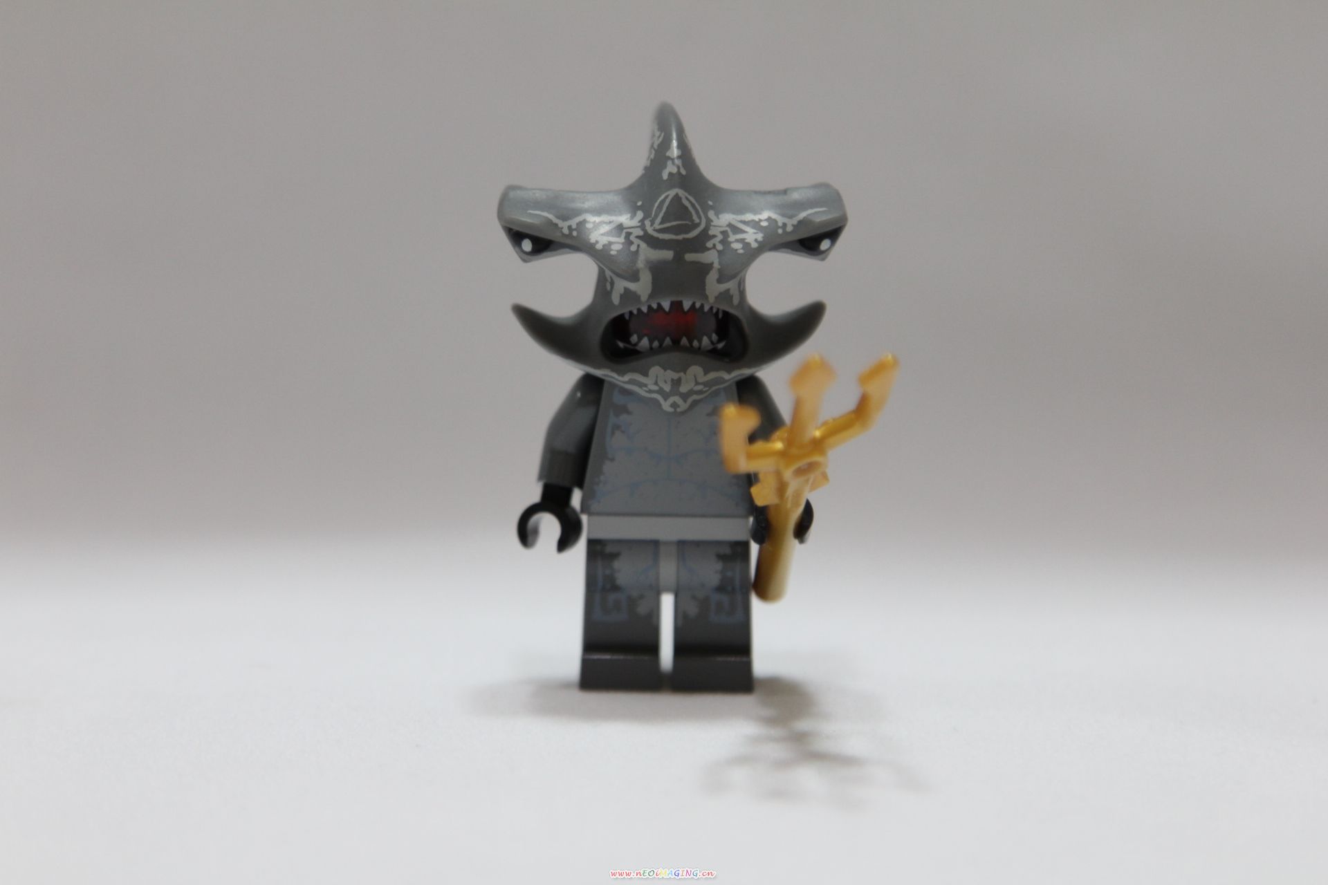 7977-008.jpg