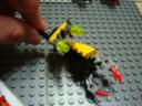 dsc01177.jpg