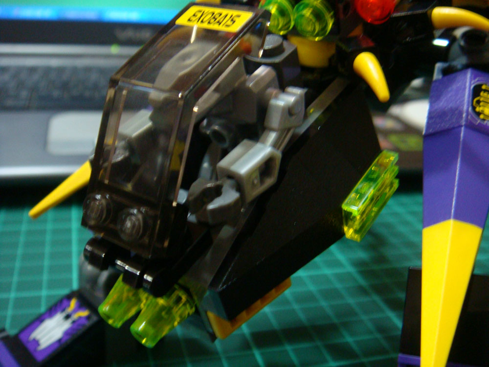 8115-2.jpg