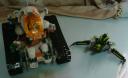 dsc01916.jpg