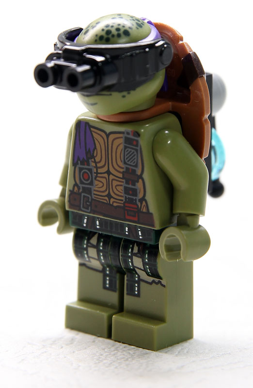 79117-10.jpg