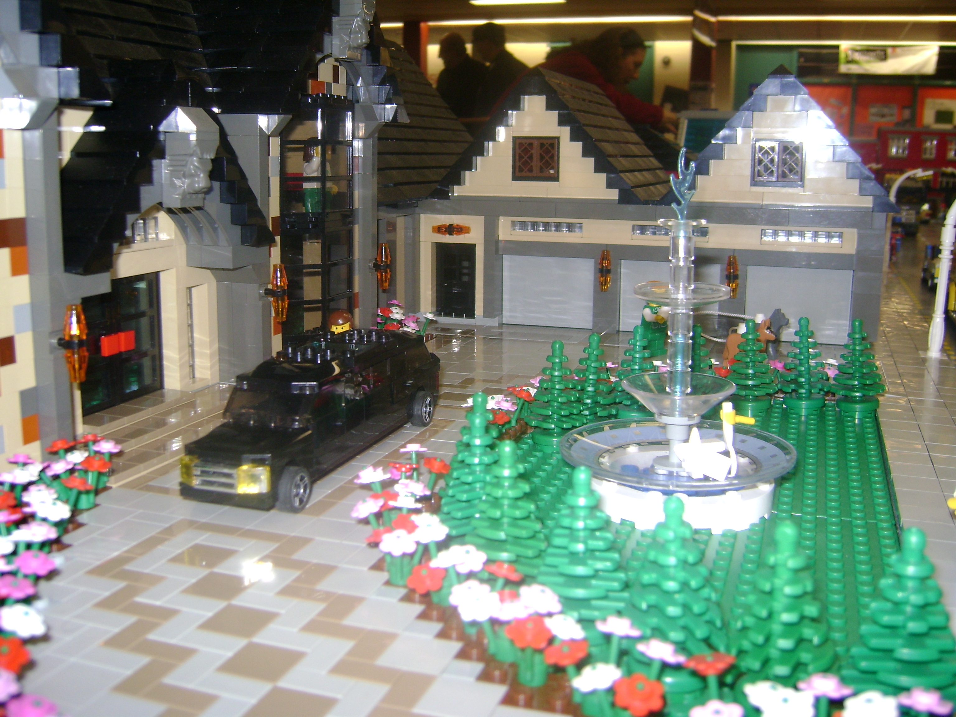 dsc01561.jpg