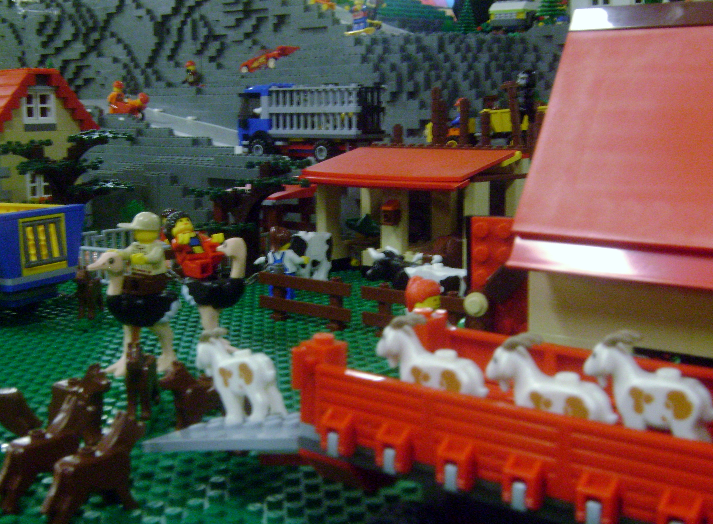 dsc01871.jpg