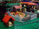 dsc01872.jpg