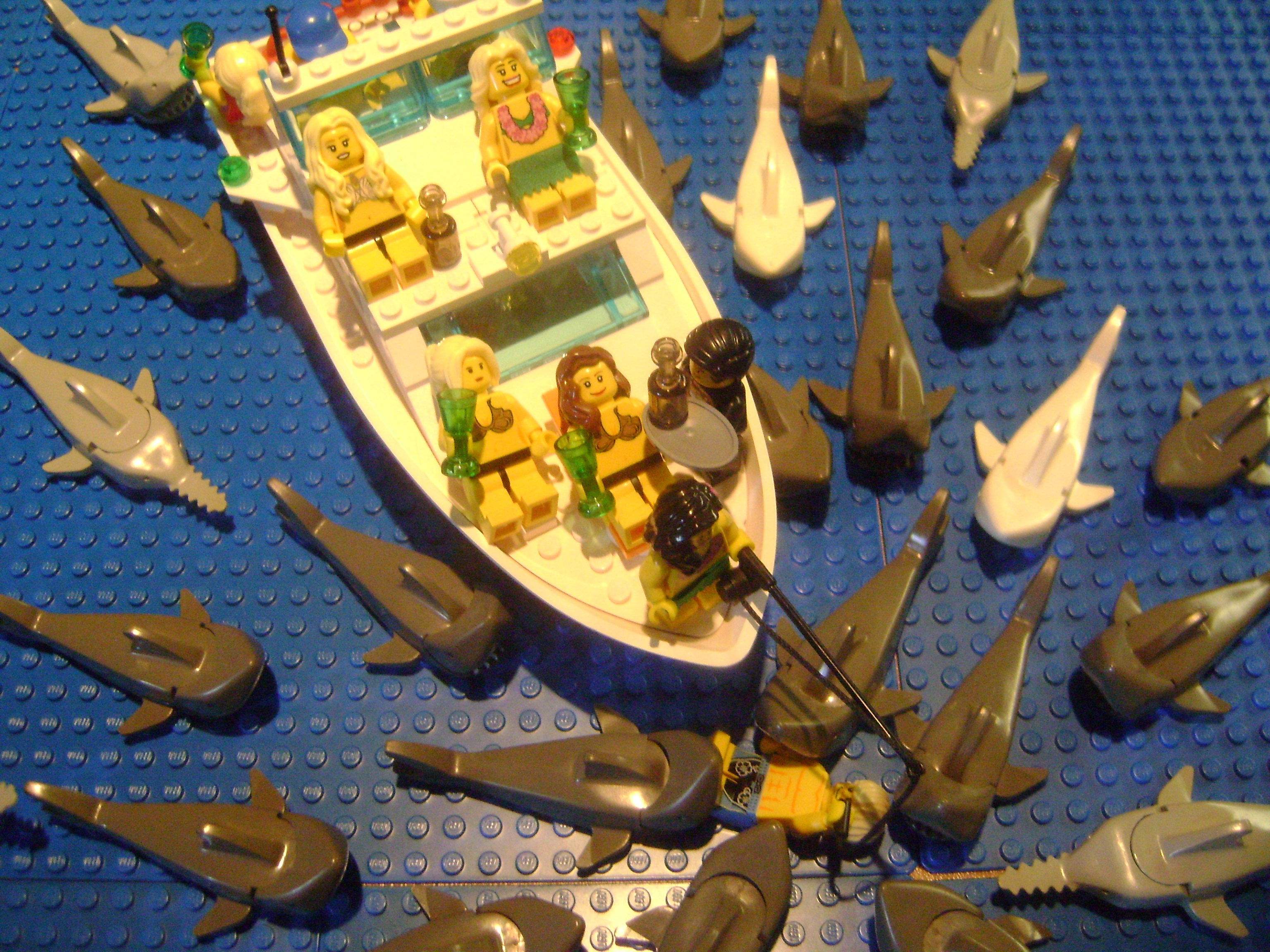 dsc02205.jpg