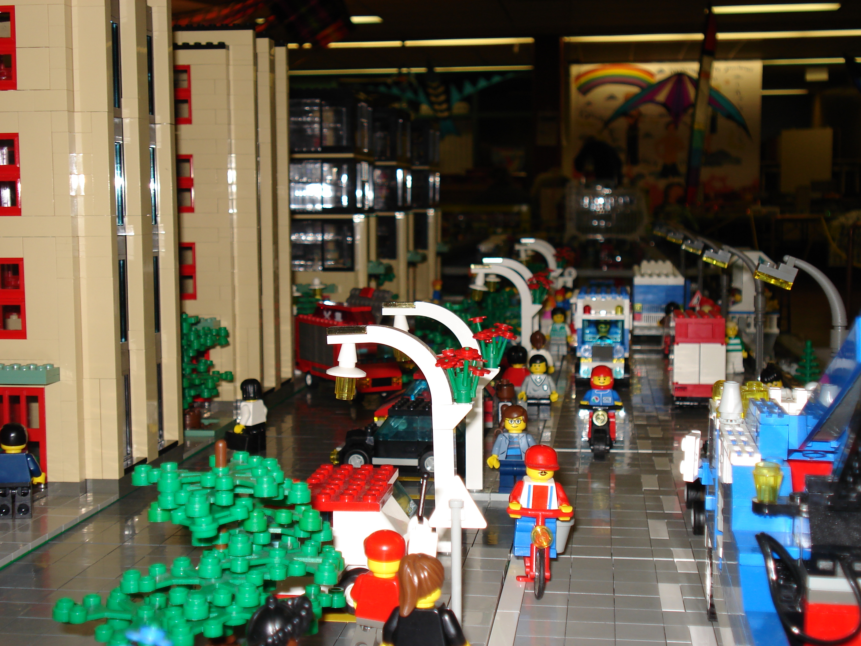 dsc00080.jpg