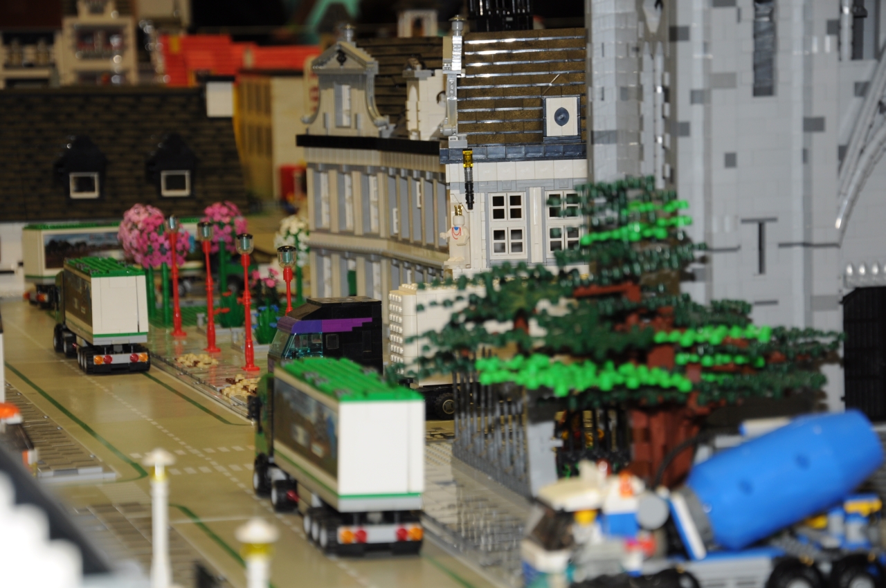 dsc_1161.jpg